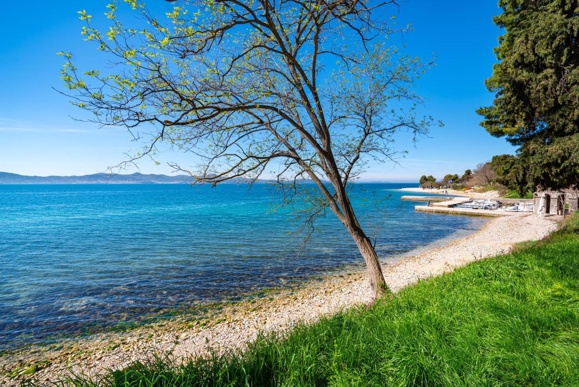 Apartamento Kolovare Garden Oasis - First Row By Sea Zadar Exterior foto